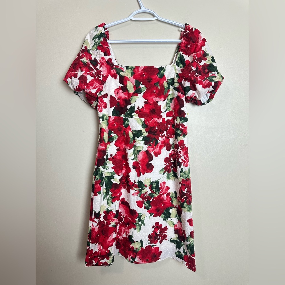 Julia Jordan Size 4 Red Floral Mini Dress